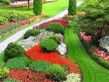 深圳绿化 园林绿化工程施工的实践与创新