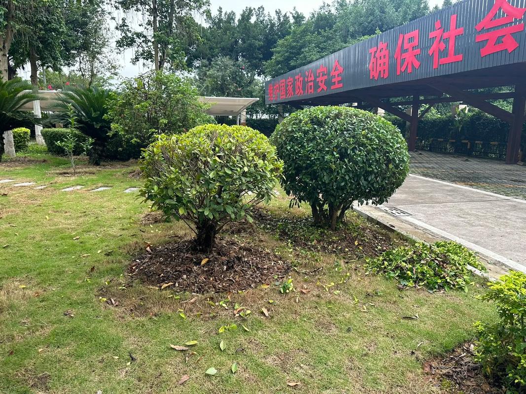 苗木种植基地 园林绿化工程的核心力量与施工要点