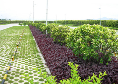 园林景观绿化工程 从云南超越建设实践看工程造价与施工管理