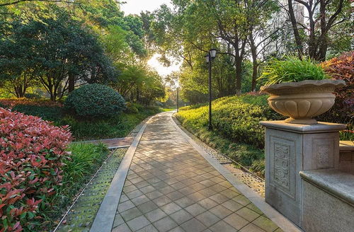 走出园林绿化建设的迷思 城市绿化工程中的常见误区与改善路径